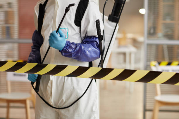 Professional Sewage Cleanup technician working in Orange, VA